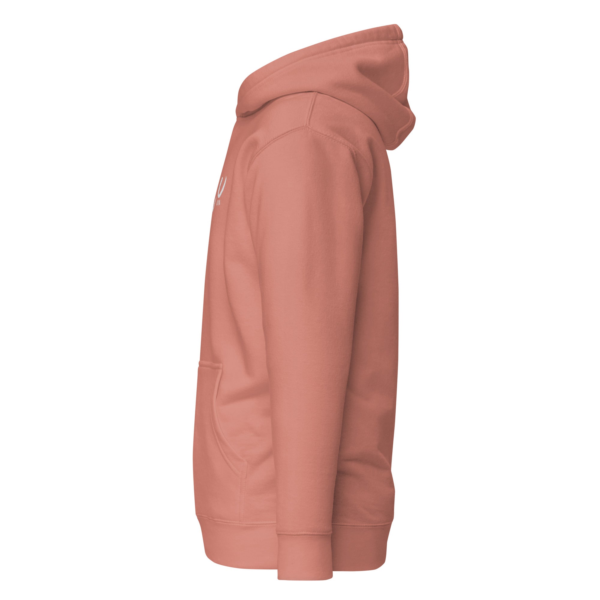 unisex-premium-hoodie-dusty-rose-left-66e2bb2902b7b.jpg