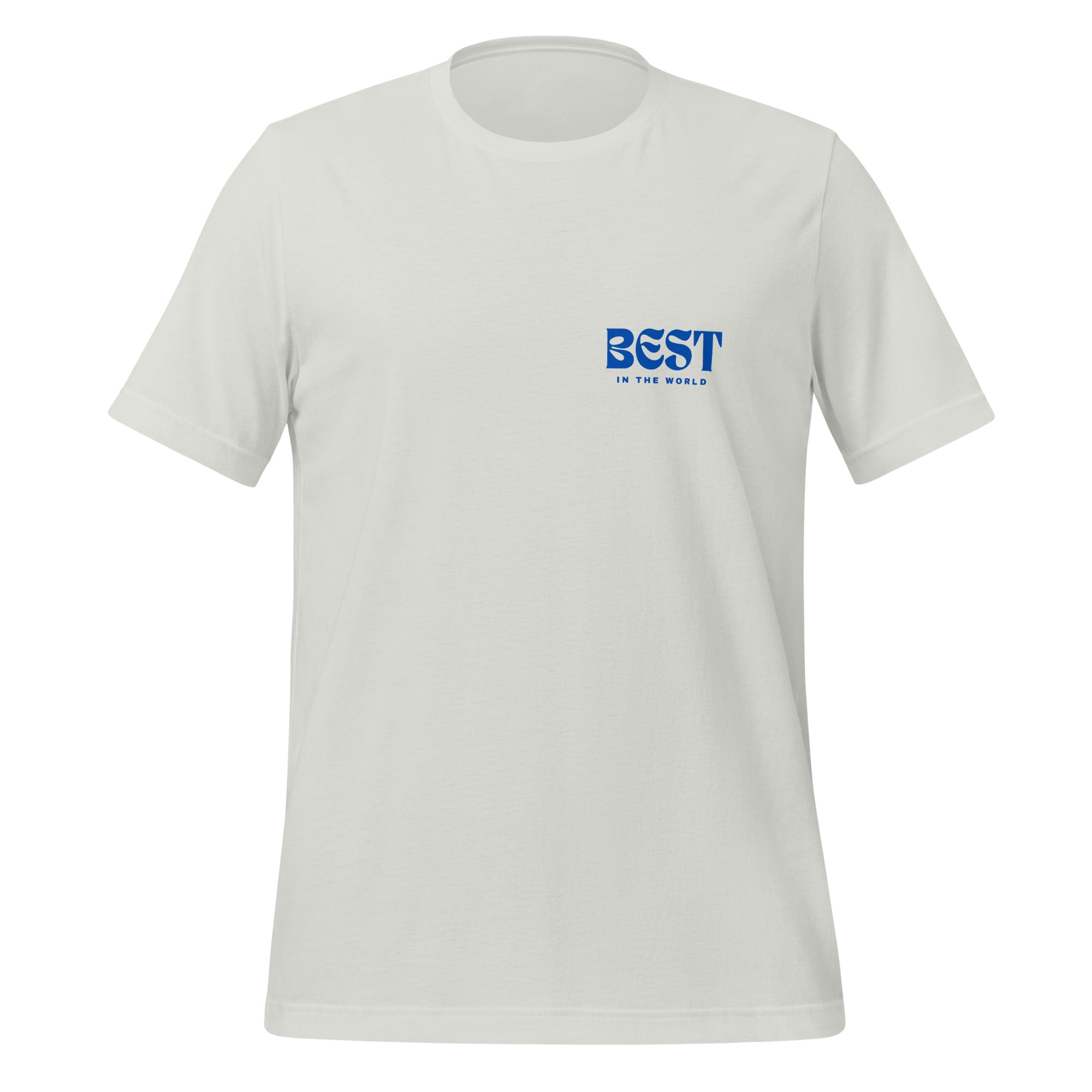 unisex-staple-t-shirt-silver-front-65b8dabf936ab.jpg